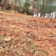 Land survey marker on raw lakefront property